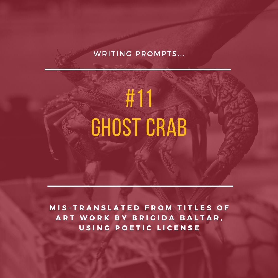 #11 Ghost Crab - Copy - Copy