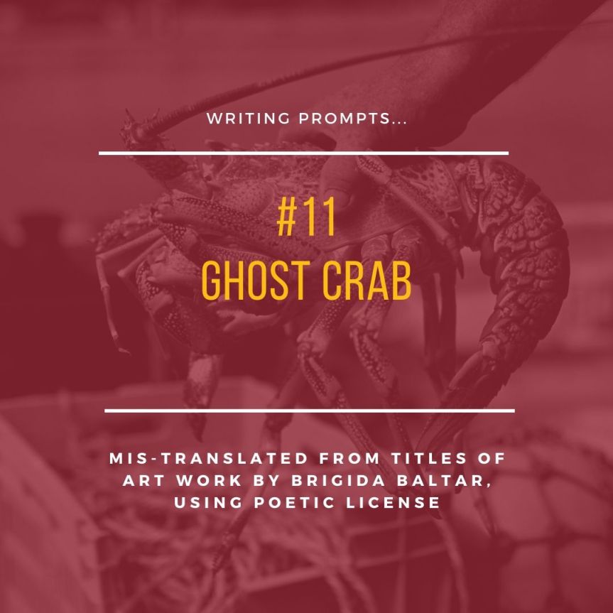 #11 Ghost Crab - Copy - Copy