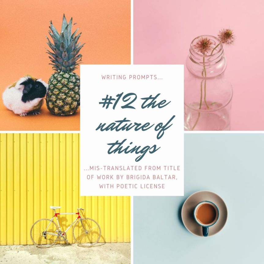 #12 The nature of things - Copy - Copy