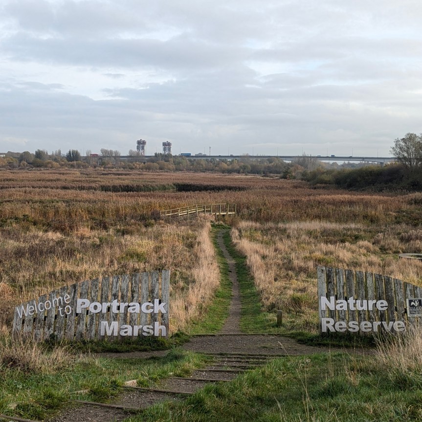 A tendency to elegy: climate walk-and-talk with&nbsp;poets